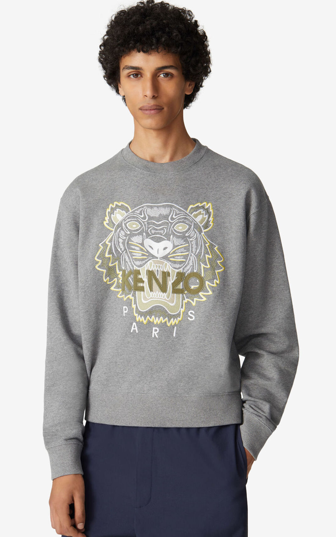 Kenzo Tiger Sudadera Hombre Gris | 8956127-XW